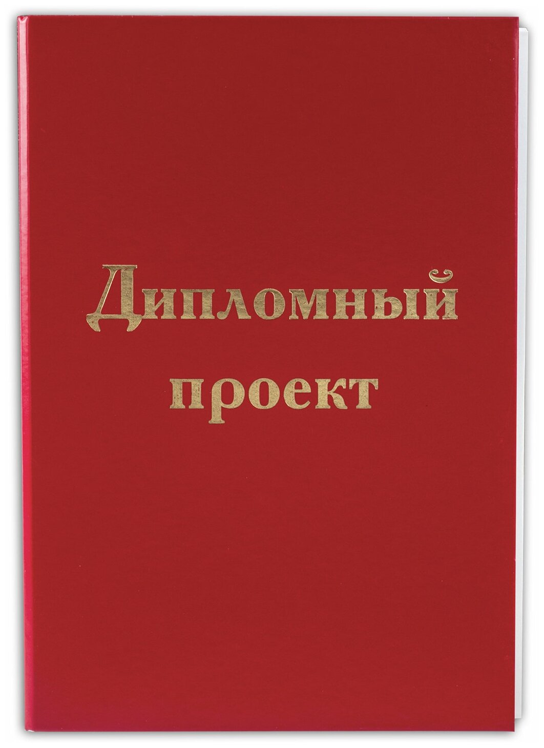 Папка для документов и тетрадей на молнии пластиковая BRAUBERG А4, 320х230 мм, прозрачная, 271713 (271713)