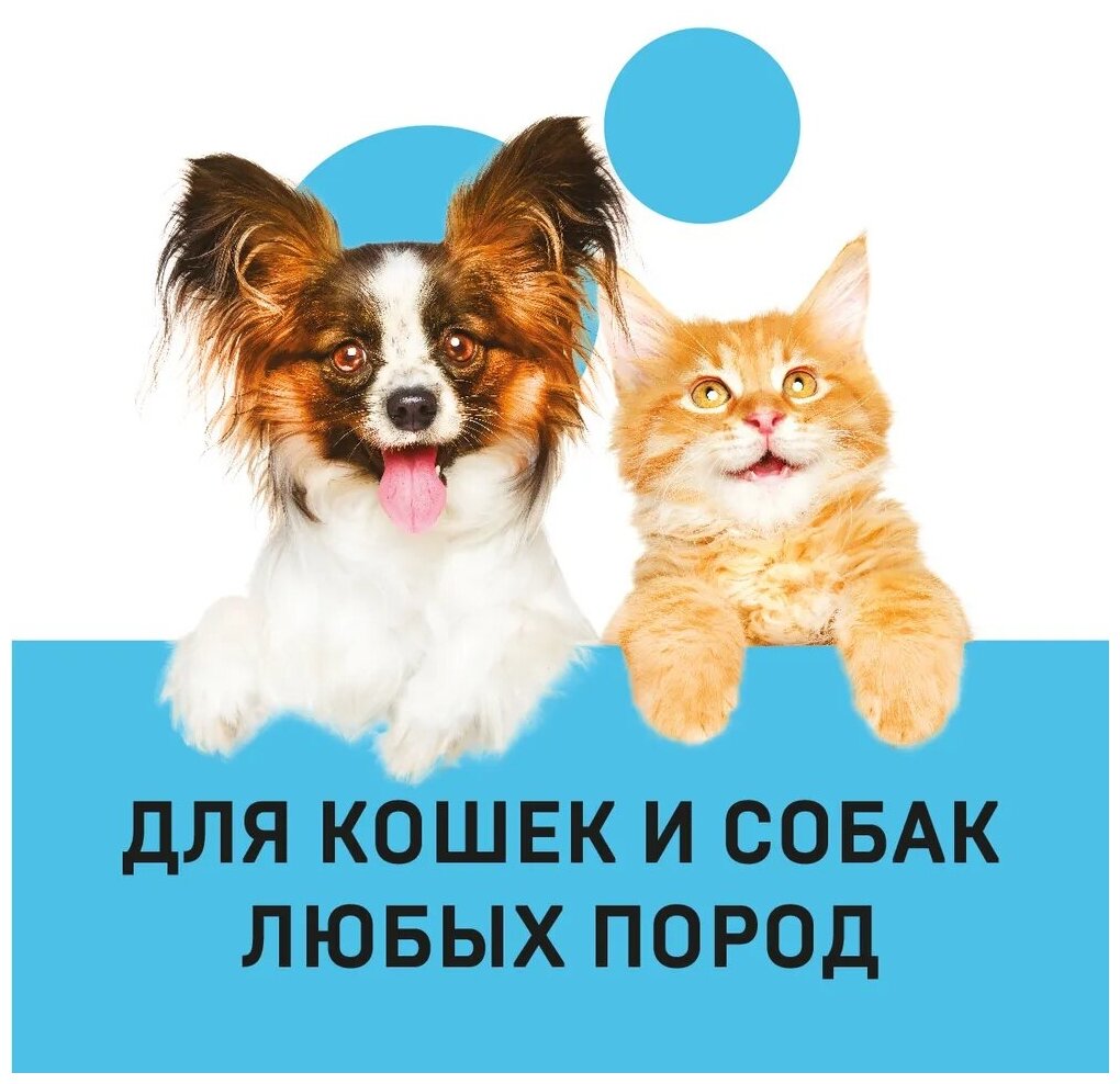 Универсальный антибактериальный шампунь для кошек и собак с хлоргексидином Wellroom 1 литр - фотография № 5