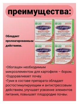 Набор удобрений для картофеля 4 упаковки по 100 гр Фитоспорин М быстрорастворимый Биофунгицид защита от болезней ОЖЗ Кузнецова - фотография № 3