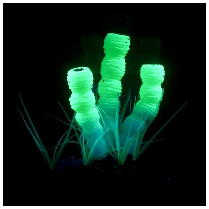 Декор для аквариума"Столбовой коралл" силиконовый, светится в темноте, 9,5 х 12 см, зелёный 71088 . - фотография № 2