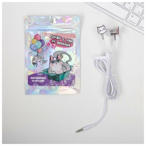 Наушники на молнии Схожу с ума от веселья 10 х 15 см 47600₽