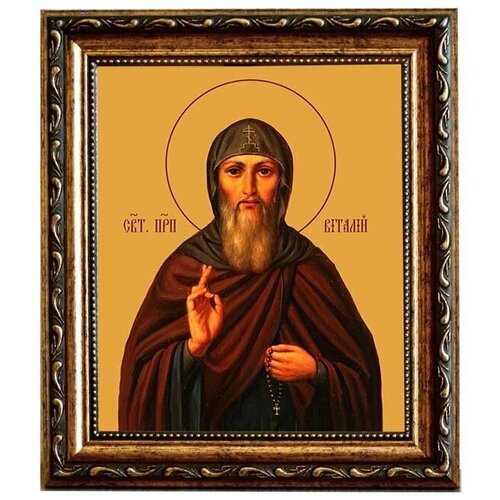 Виталий Александрийский Святой преподобный. Икона на холсте.