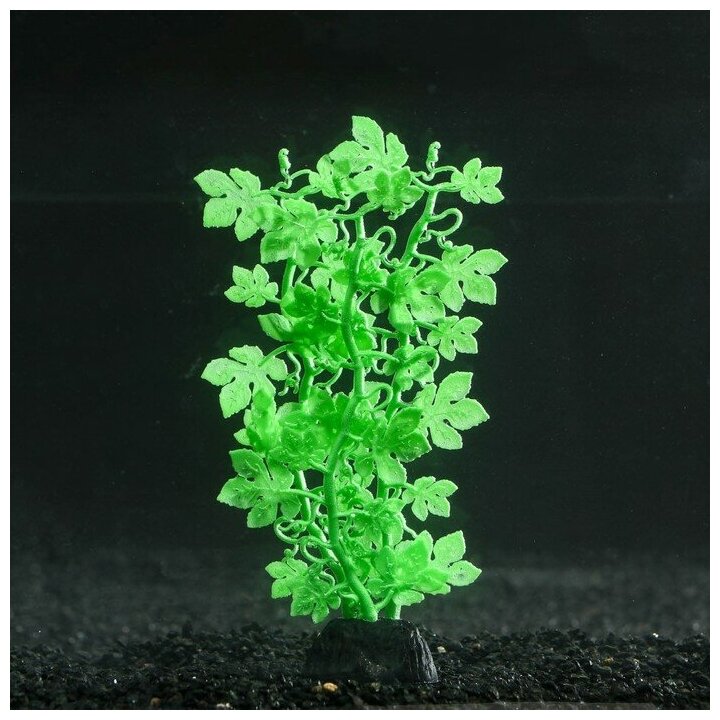 Растение силиконовое аквариумное, светящееся в темноте, 6,5 х 18 см, зелёное 7108788 . - фотография № 1