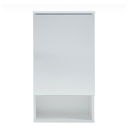 Зеркало-шкаф Вега 5502 белое, 55 х 13,6 х 70 см