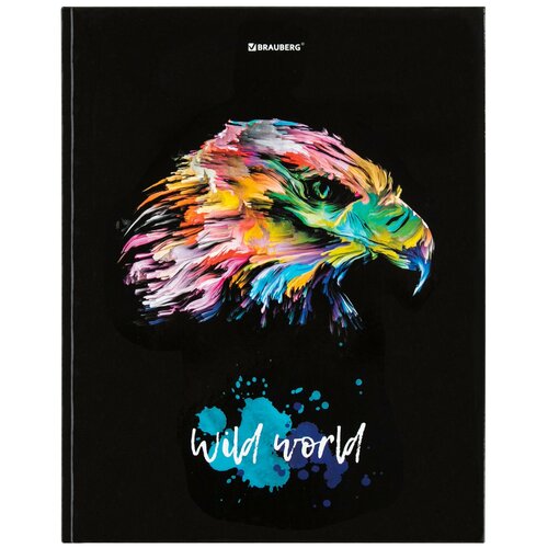 Дневник 5-11 класс 48 л., твердый, , глянцевая ламинация, с подсказом, 