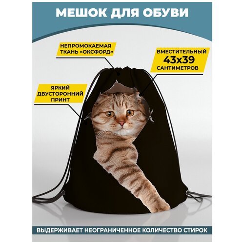 Мешок для сменной обуви Homepick 39х43 см BlackCat/34428/