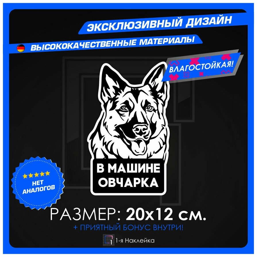 Наклейка стикер на автомобиль на стекло на кузов автомобиля В машине овчарка 20х12 см