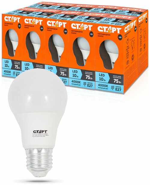 Набор ламп старт ECO LEDGLSE27 10W 40, упаковка 10 штук