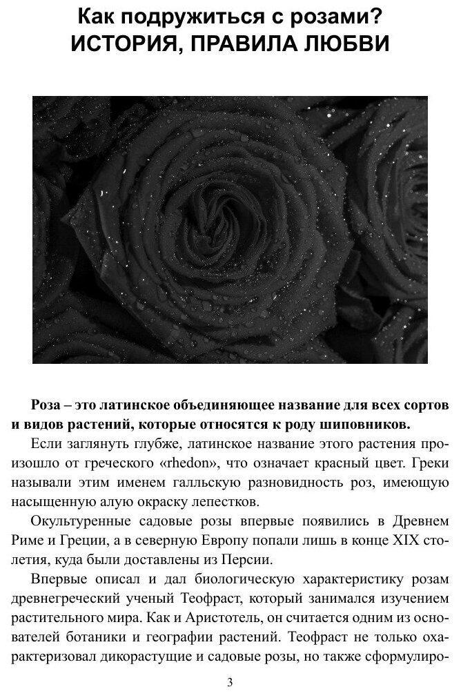 Розы. Лучшие сорта (Виктория Зонова) - фото №5