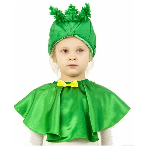 Карнавальный костюм Вини Шапка садовая петрушка карнавальный костюм вини косынка зеленая детская