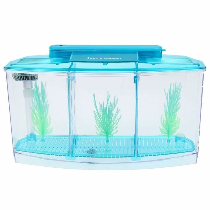 Аквариум-отсадник трехсекционный с подсветкой и светящимися растениями, голубой
