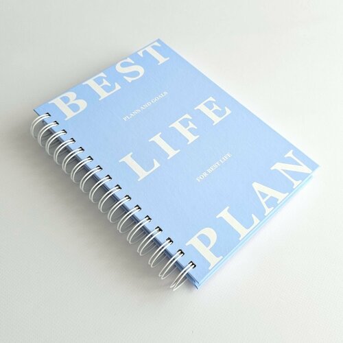 Ежедневник BEST PLAN недатированный планер на 2025 год авторский еженедельник на 12 месяцев