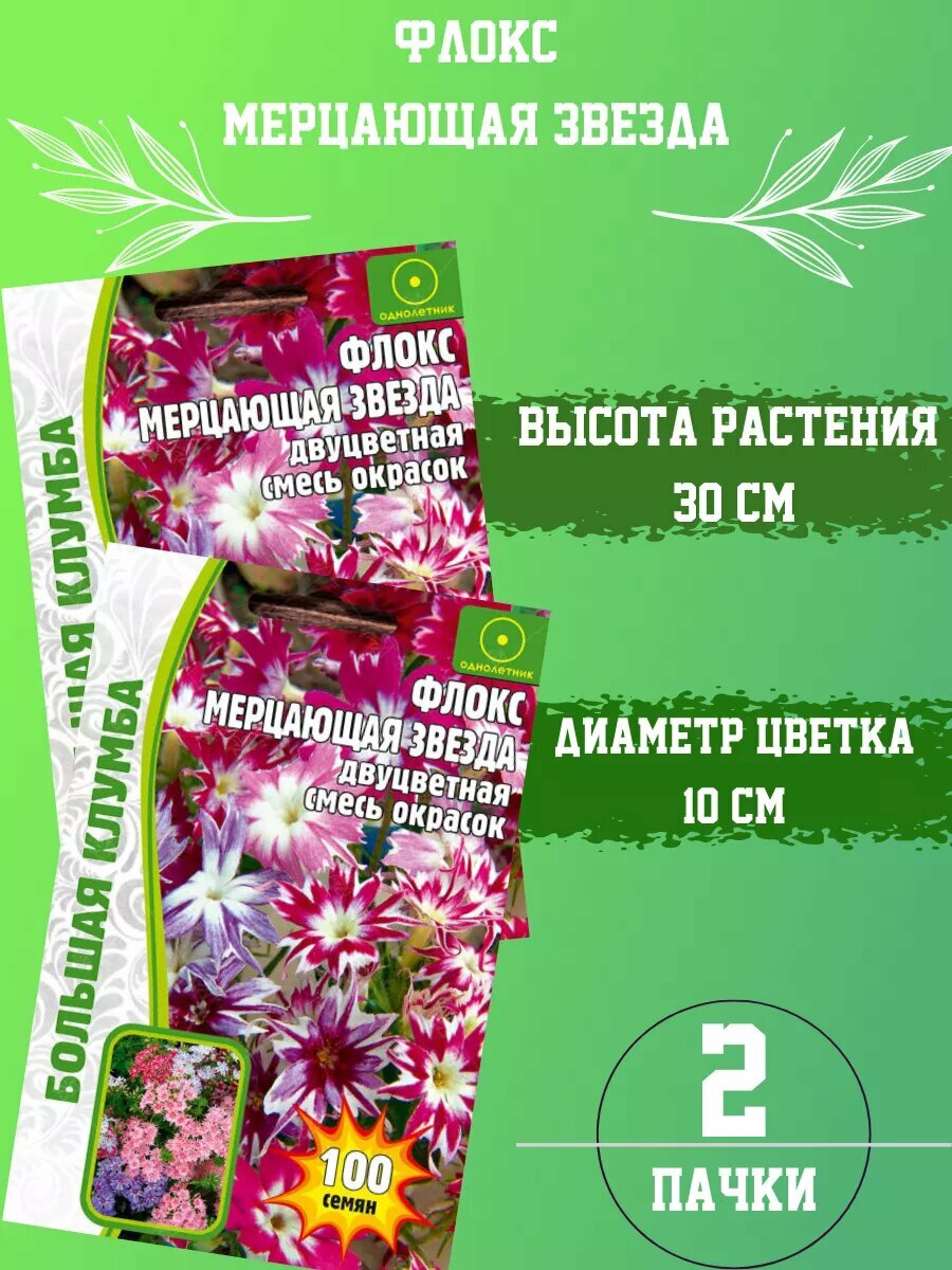 Семена Флокс Мерцающая Звезда 2шт