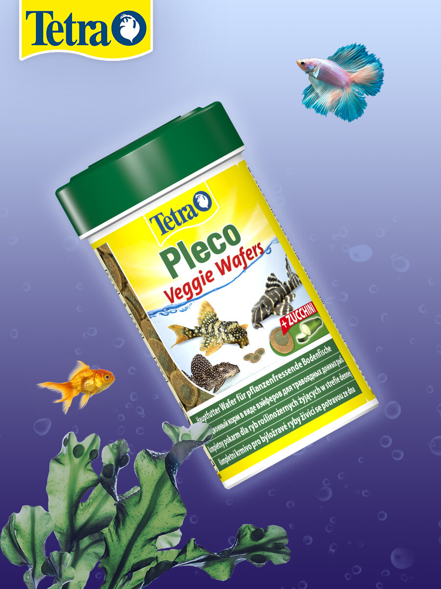 TETRA PLECO SPIRULINA WAFERS корм чипсы для растительноядных донных рыб со спирулиной (100 мл) — фото 1