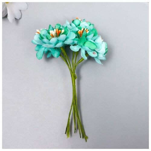 Набор цветов яблони 