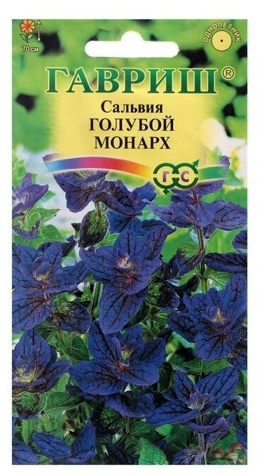 Семена цветов Сальвия Голубой монарх 005 г 6 упаковок
