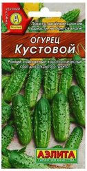 Семена Огурец "Кустовой", скороспелый, пчелоопыляемый, 20 шт