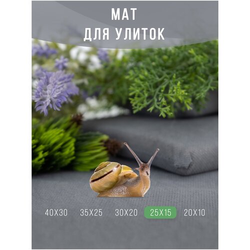 Мат, коврик, подстилка для улиток / Матрасик мягкий для декоративных улиток ахатин 25х15 см