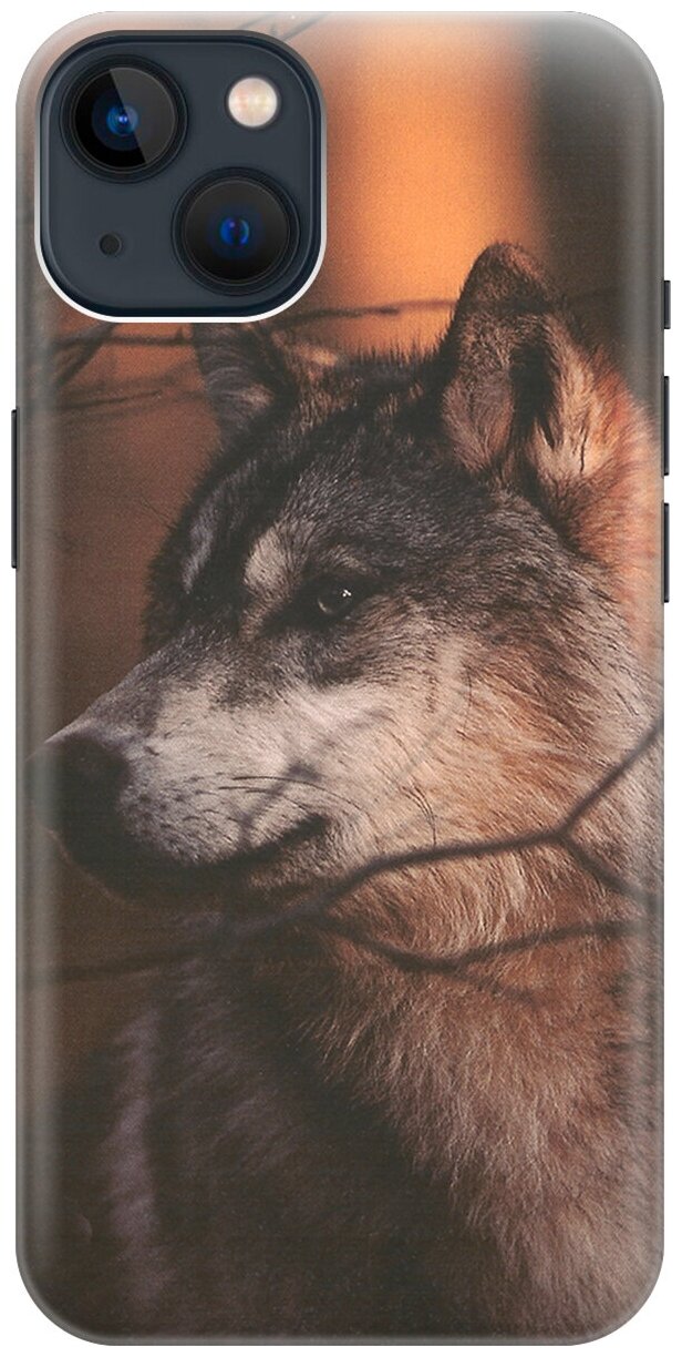 Силиконовый чехол на Apple iPhone 14 / Эпл Айфон 14 с рисунком "Красивый волк"