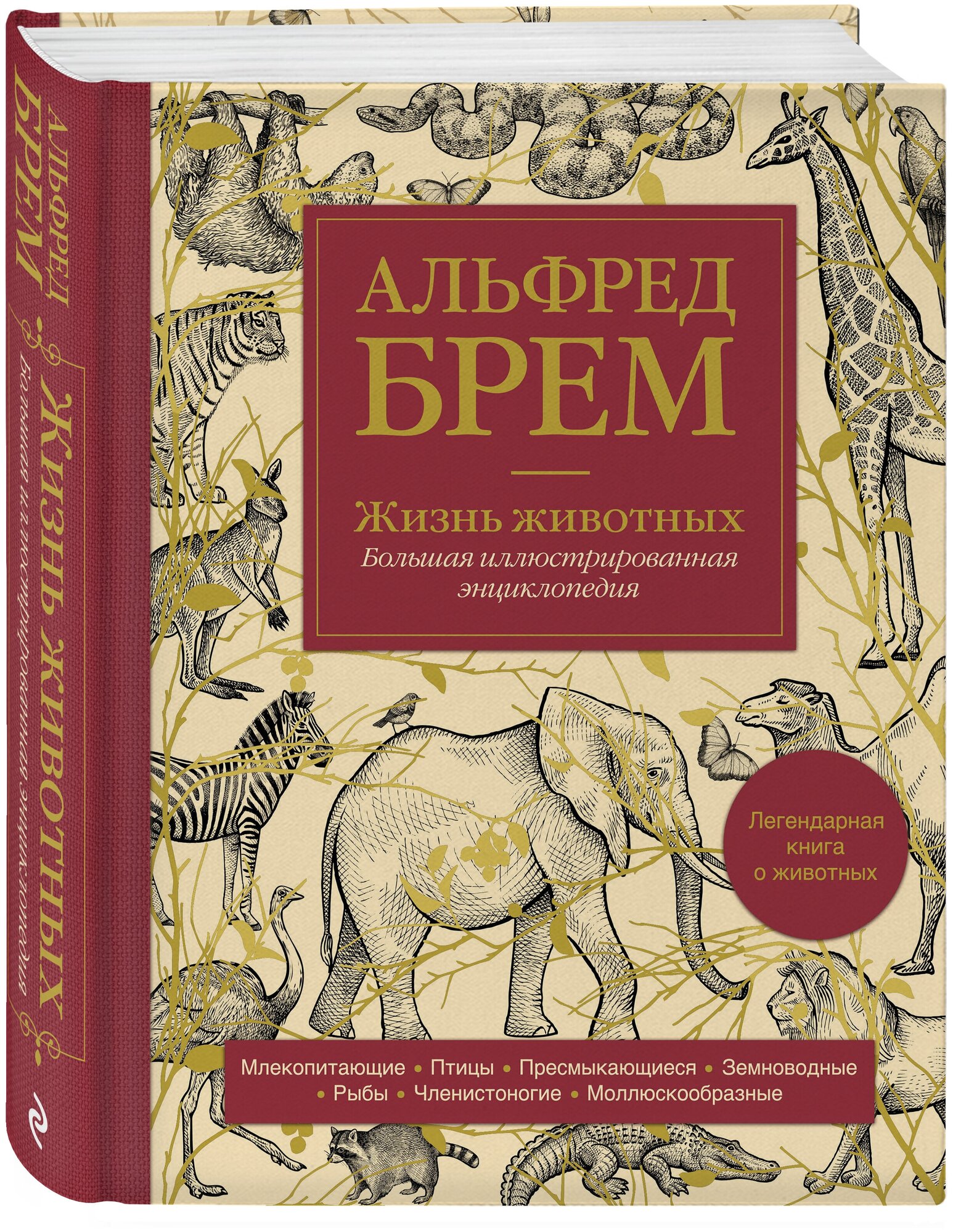 Жизнь животных. Большая иллюстрированная энциклопедия - фото №1