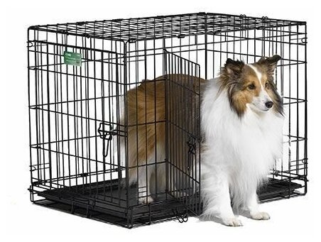 Клетка MidWest iCrate для собак 76х48х53h см, 2 двери, черная - фотография № 9