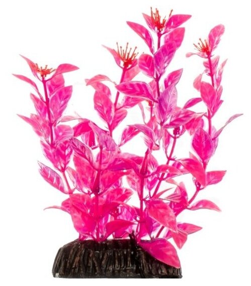 Растение Laguna "Людвигия" ярко-розовая, 200мм