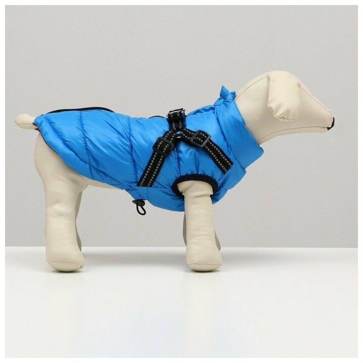 Куртка для собаксо шлейкой, размер 14 (ДС 32 см, ОГ 42 см, ОШ 31 см), лазурная - фотография № 13