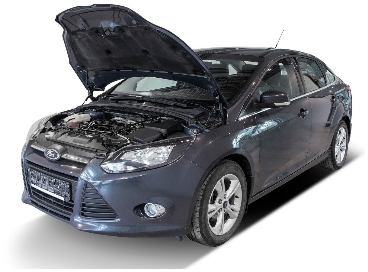 Газовые упоры капота АвтоУпор для Ford Focus III 2011-2019 2 шт UFDFOC021