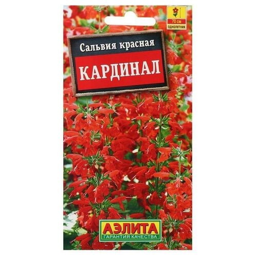 Семена цветов Сальвия Кардинал 0,1 г 6 упаковок семена цветов сальвия кардинал о 0 1 г