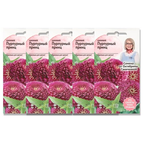 Набор семян Цинния Пурпурный принц 0.5 г - 5 уп, семена однолетних цветов