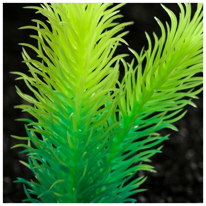 Растение искусственное аквариумное, светящееся, 8 см, зелёное - фотография № 2