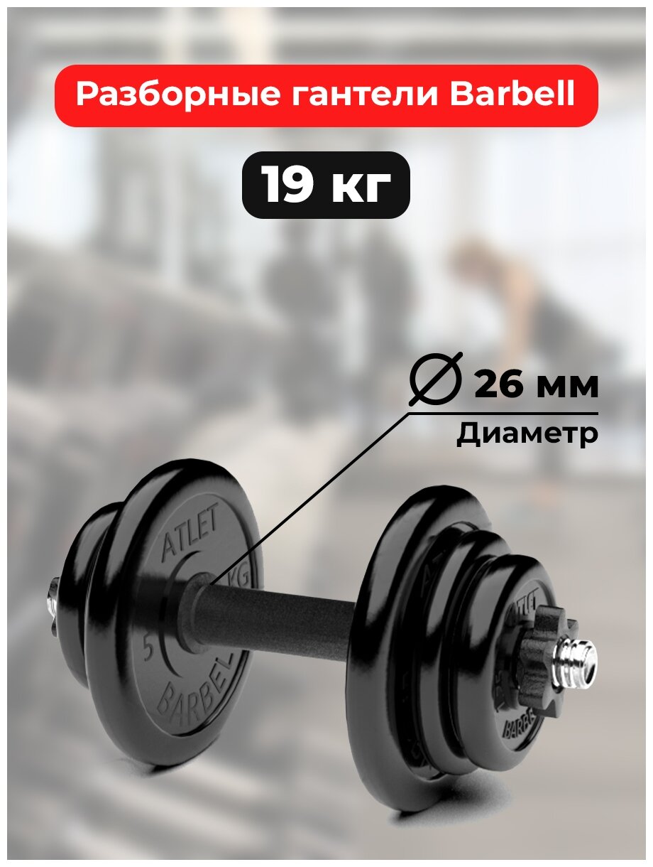 Гантель разборная MB Barbell MB-FdbM-At19 19 кг