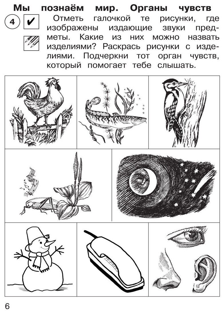 Окружающий мир 1 класс Тетрадь для самостоятельных работ - фото №6