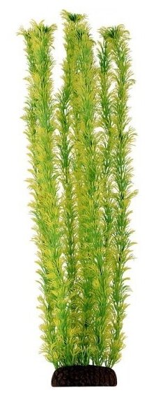 Растение Laguna "Амбулия" жёлто-зеленая, 500мм
