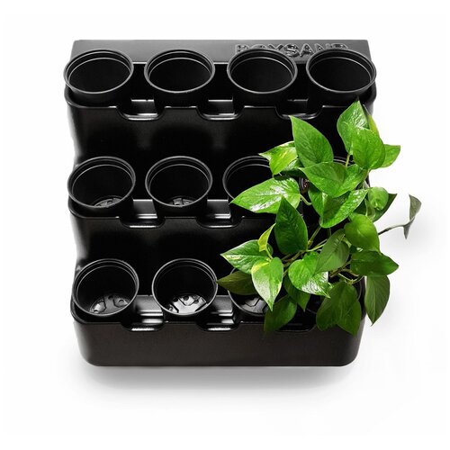 Фитомодуль 