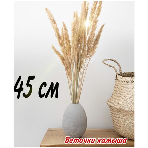 Сухоцвет камыша/Декор Колоски мини камыша