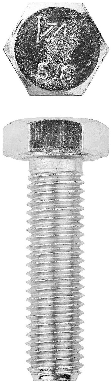 Оцинкованный болт ЗУБР - фото №1