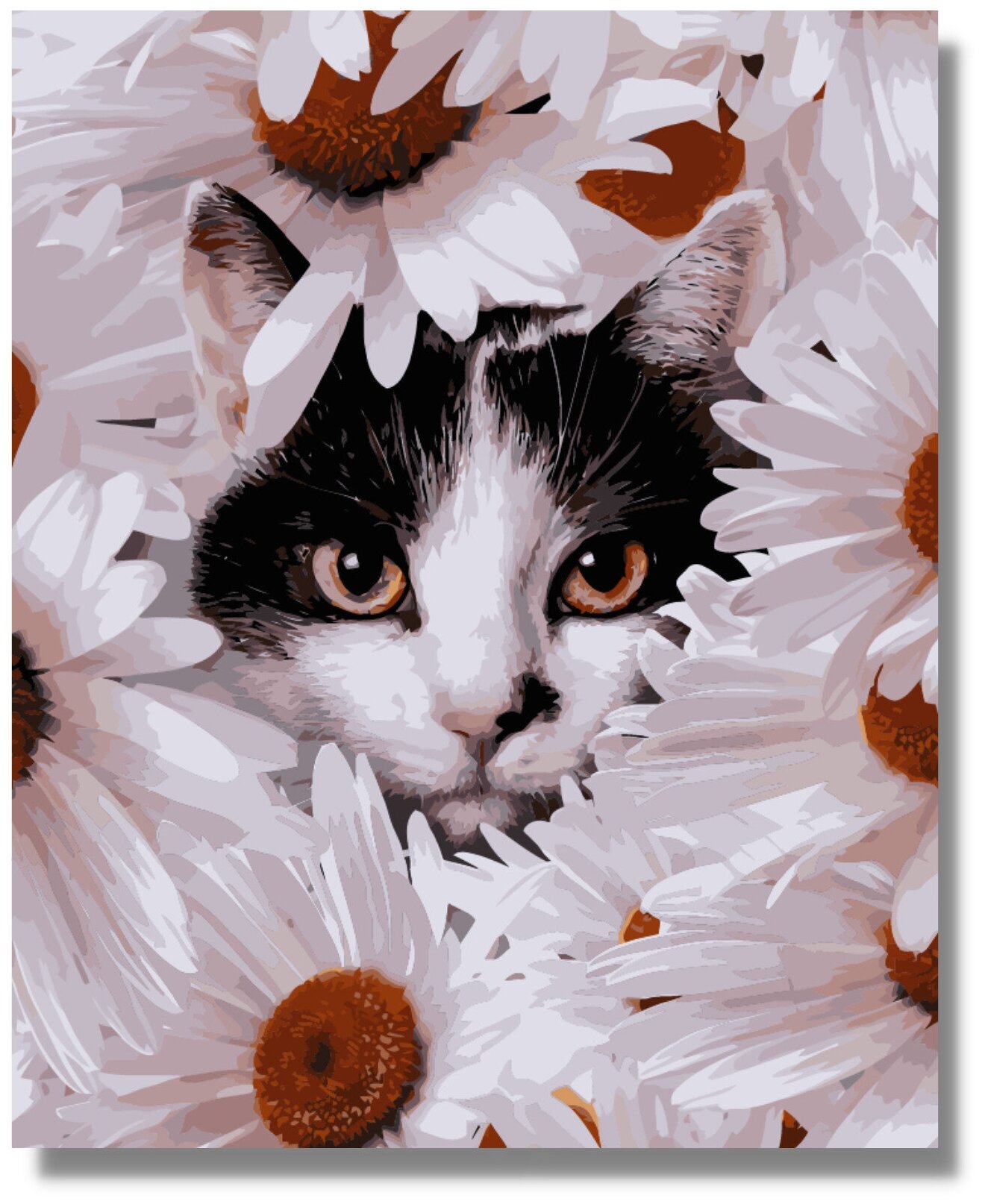 Картина по номерам "Кот в ромашках" холст 40х50