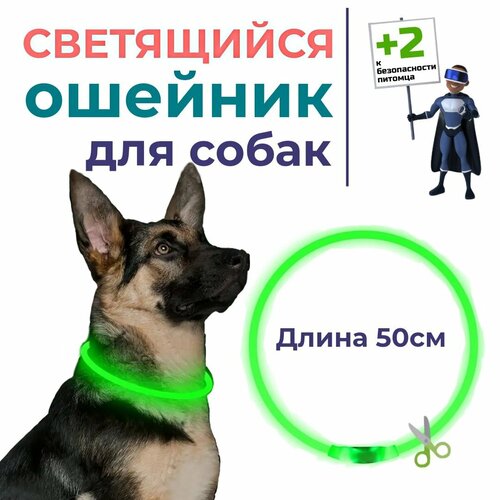 Светящийся ошейник для животных, 50 см, регулируемый . Зелёный