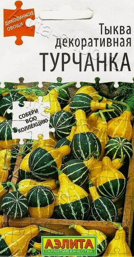 Изображение товара Тыква декоративная Турчанка (3 упаковки), семена