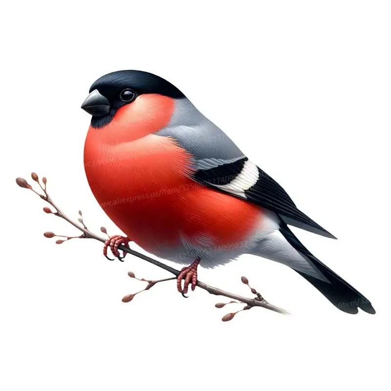 Съемная наклейка на стену 