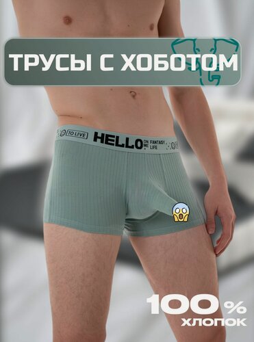 Изображение товара Нижнее белье, мужское, хлопок，спандекс, цвет натуральный зеленый, с доступом, M