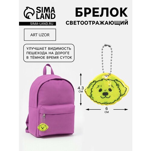 Светоотражающий элемент «Морда пуделя», двусторонний, 6×4.3 см, микс