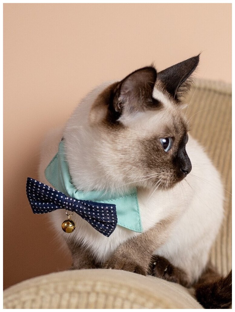 Безопасный праздничный ошейник-Чокер Japan Premium Pet для стильного модника с системой защиты от удушения, синий, размер 3S - фотография № 2