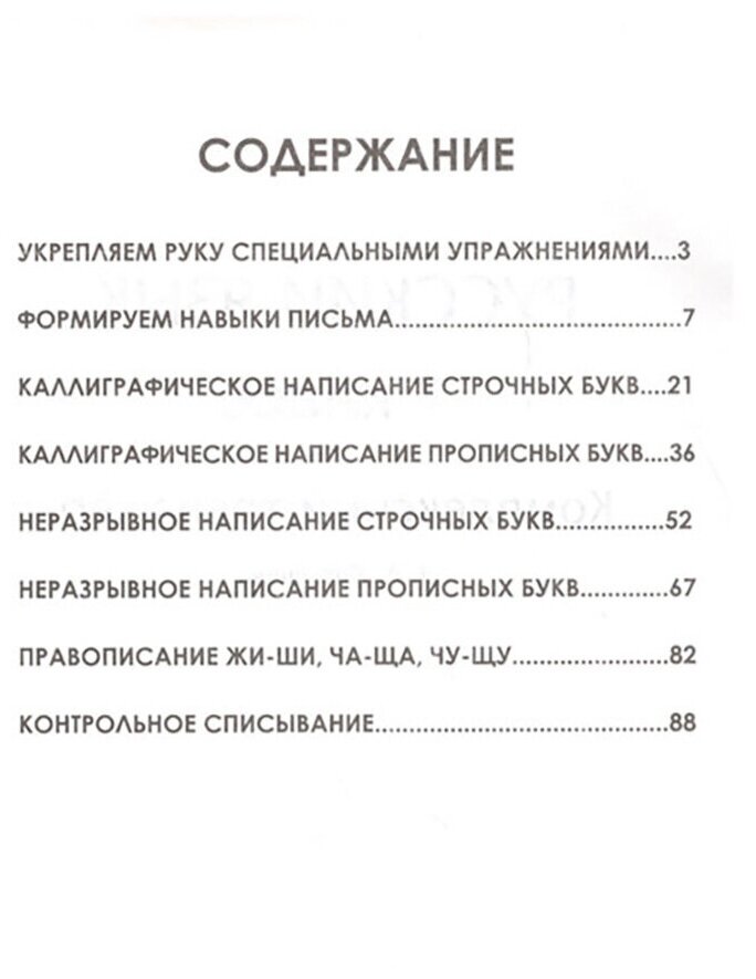 Русский язык 1 класс. Комплексный тренажер