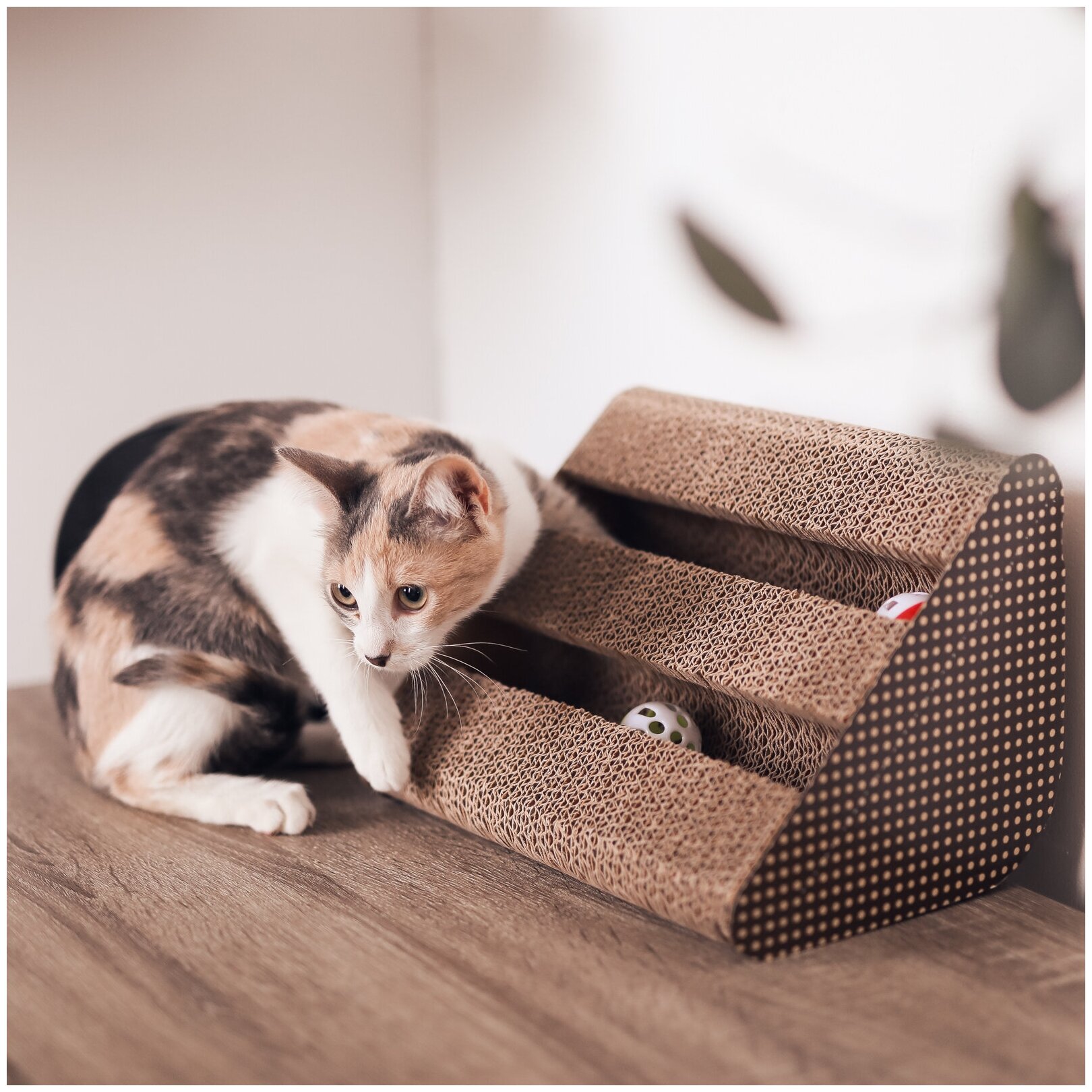 Когтеточка-игрушка для кошек, "Не Один Дома" Игра, коричневый - фотография № 4