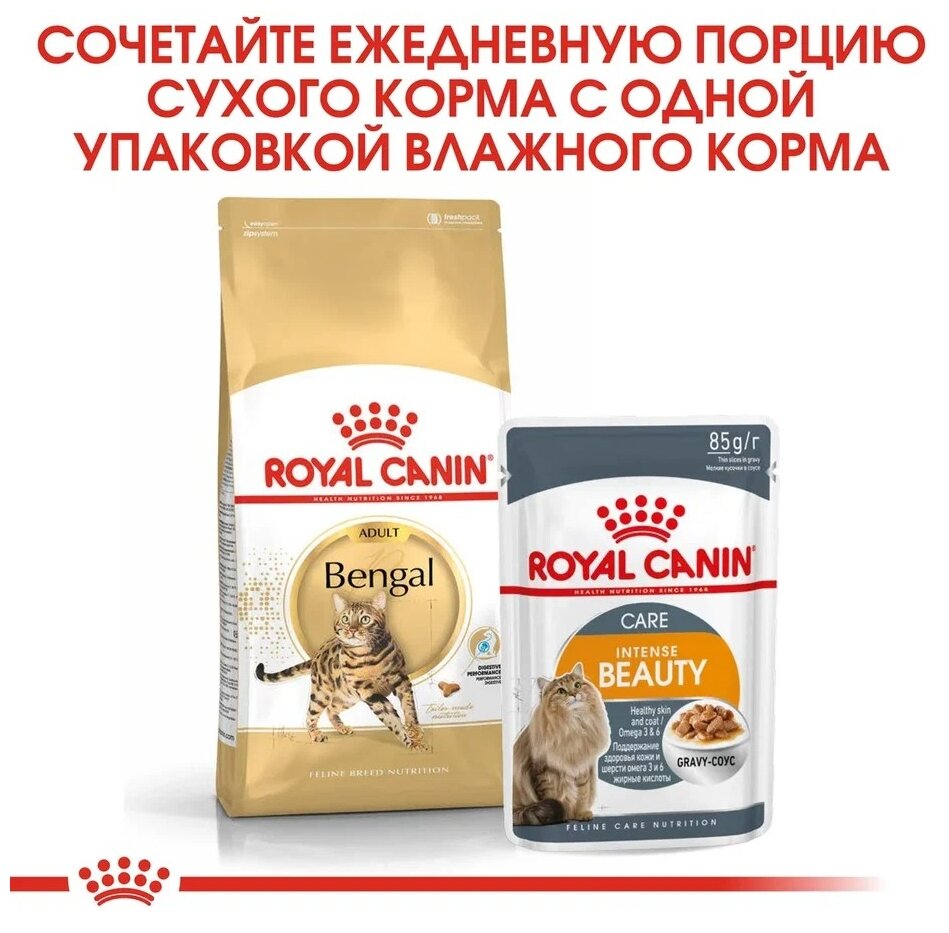 Сухой корм для кошек Royal Canin Бенгальская, для здоровья кожи и блеска шерсти 2 кг - фотография № 9