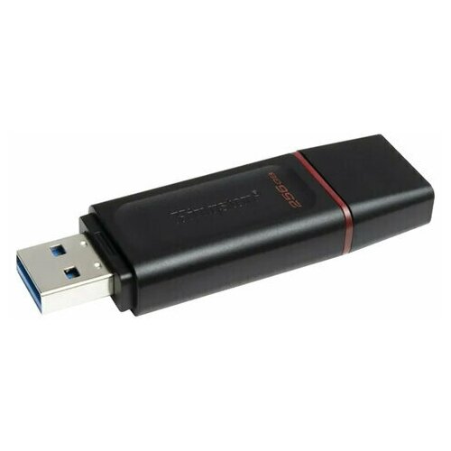 Флеш-память USB 3.2 256 ГБ Kingston DataTraveler Exodia (DTX/256GB)