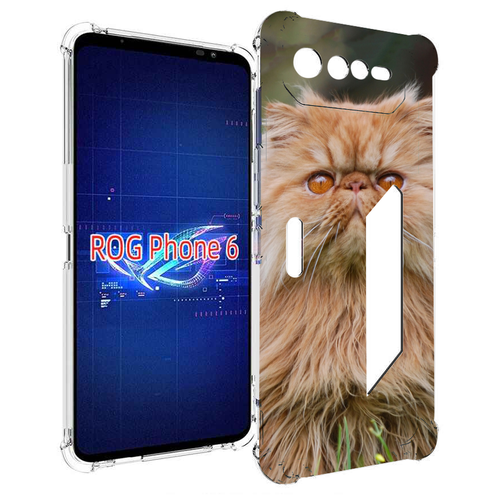 Чехол MyPads кошка персидская для Asus ROG Phone 6 задняя-панель-накладка-бампер