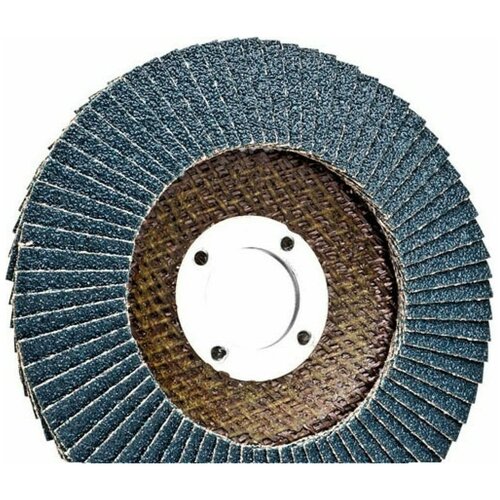 Круг лепестковый Professional 125х22.2 мм, P100, цирконий